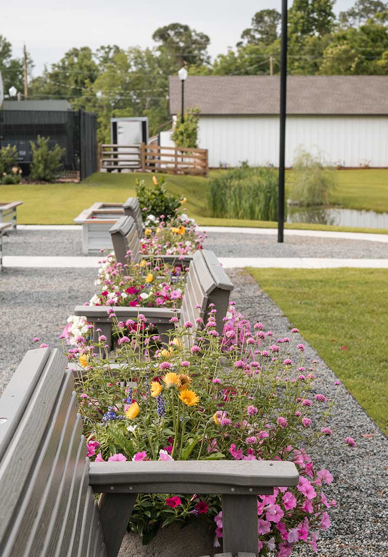 Picture of the Raised flowerbeds and benches throughout the grounds at fancy girl farms