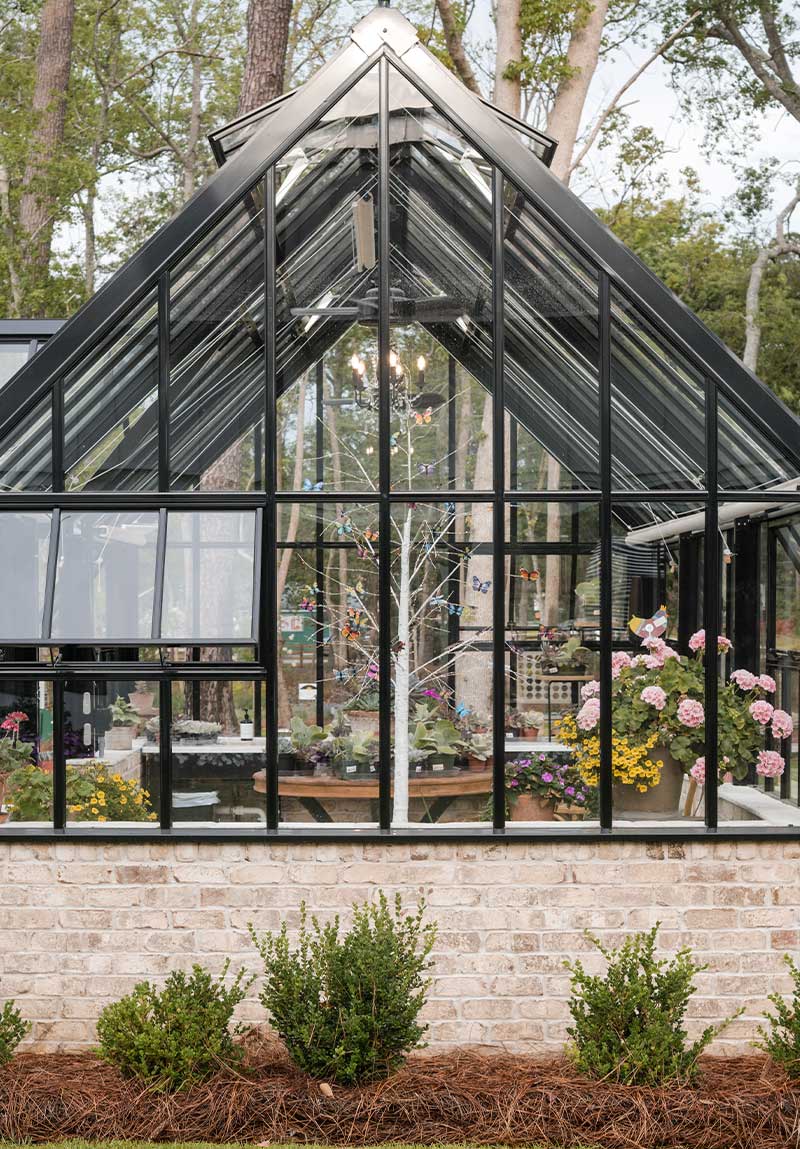 Tender plants in the Hartley Greenhouse