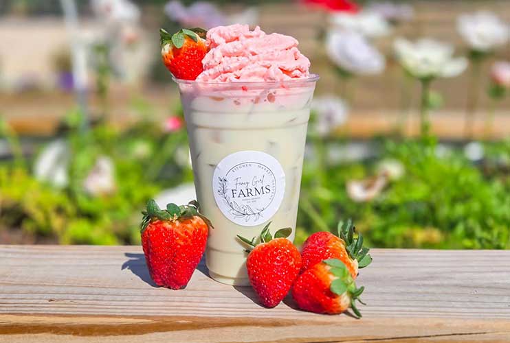 Tillamook Creamery Drink at Fancy Girl Farms